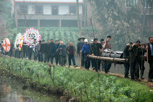 取消土葬还未得到支持,郸城县又要停售棺材取缔灵车,网友 点赞