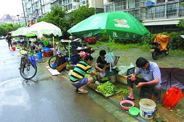 居民自种自卖 小区办起菜场 