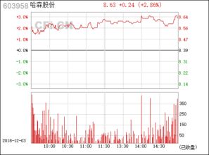 哈森股份怎么样