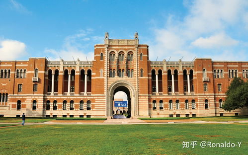 莱斯大学相当于中国哪个大学