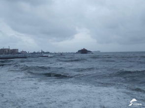 青岛栈桥被淹 济南启动防汛III级应急响应....台风摩羯来袭山东迎强降雨