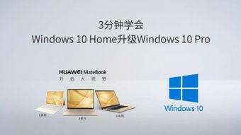 华为全新系统如何升级win10吗