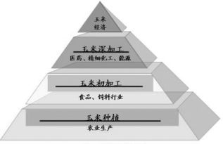 玉米淀粉期货cs1509合约是什么意思