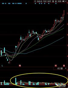 股票走势图中，兰色的交易量线是什么意思？？？