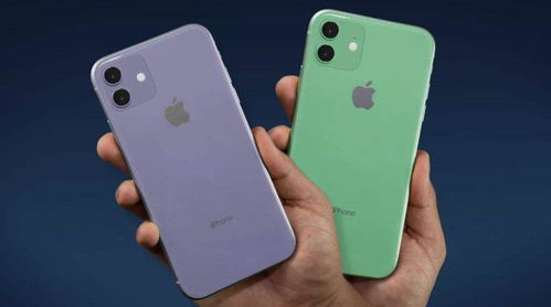 苹果13什么颜色最好搭手机壳