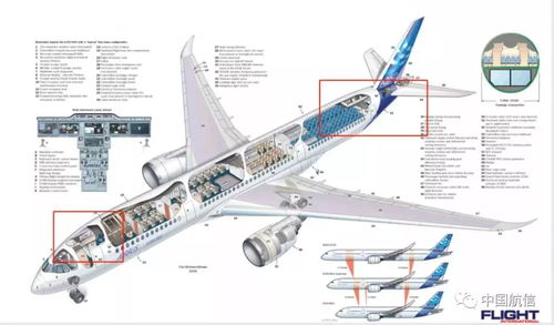 这些飞机冷知识,连空姐都有可能不知道