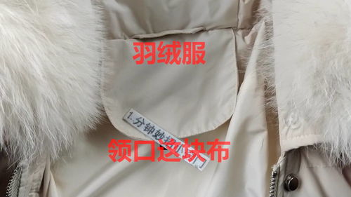 羽绒服上圆珠笔印怎么去除,羽绒服上圆珠笔印怎么去除 圆珠笔印去除方法