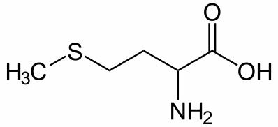 缬氨酸的作用 各种氨基酸的作用是什么