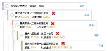 重庆紫光化工股份有限公司是国企吗?工作老加班吗?我是本科机械的