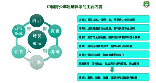 如何向中国足协提关于足球发展建议如果有机会你能提些什么建议(给中国足球的建议)