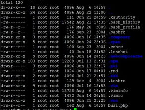 linux下文件权限设置中的数字表示权限,比如777,677等,这个根据什么得来的 