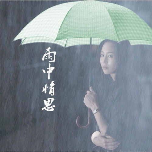 雨中情思 李庆芳 高音质在线试听 雨中情思歌词 歌曲下载 酷狗音乐 