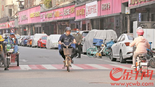 全国人大代表陈海仪建议 制定专门针对电动车的法律,或在道交法增加电动车专章 