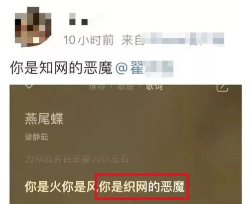 论文查重率合格线揭秘，大学生不可不知的细节