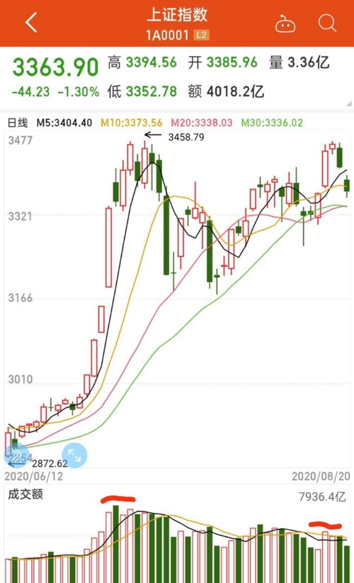 西藏药业上半年净利润同比增长超过100%