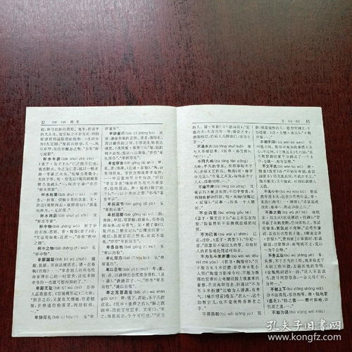 字典兴隆的解释词语;火可以组什么词语？