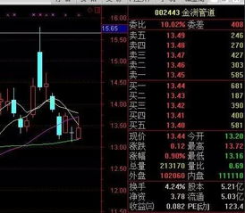 栋粱新材这支股票估值多少！