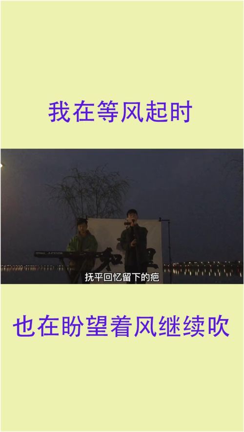 我在等风再起时,也在盼望着风继续吹 