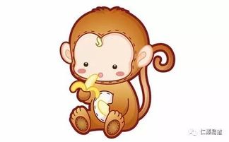 属猴人每日吃什么食物改运(属猴人吃什么提升运势)