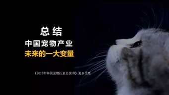 大会嘉宾分享 2017年中国宠物行业白皮书 养猫用户画像 