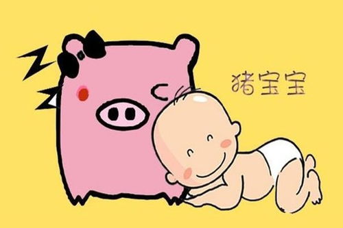 大金猪 如果出生在以下4个月,十猪九顺 有你吗