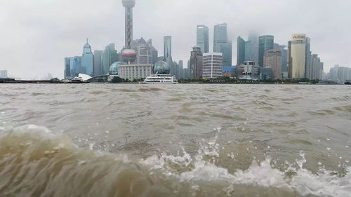 今夜有大到暴雨,明早高峰仍受台风影响 浦东最新汛情看这里