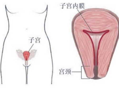 三种方法帮你减少月经血流量跟时间,女人有福了 