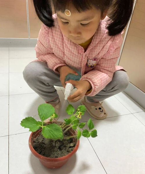 谷雨时节的农作物