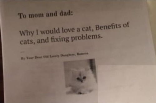 为了养猫,11岁女孩写6页论文给爸妈,有理有据