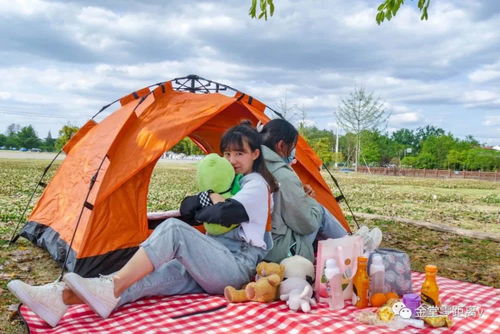 金堂人野餐 搭帐篷 拍大片的好去处 想怎么嗨都行