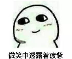 终于有档综艺,来治愈被租房伤过的人