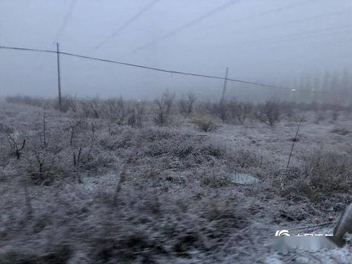 厚的积雪明天该怎么处理好