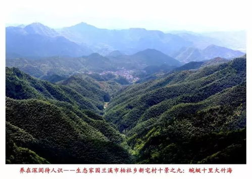 出游 走起来 金华肇峰山你知道吗 养在深闺待人识,就等着1000个人征服,绝美秋色不容错过 