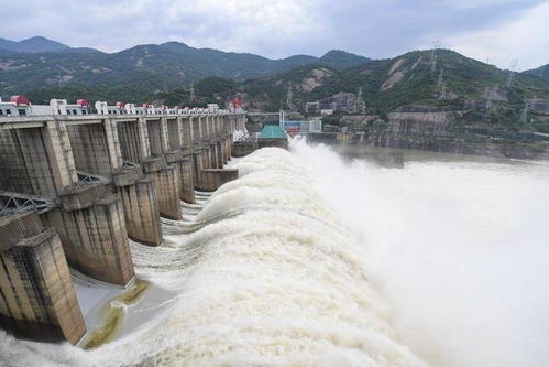 福建水口水电站今年首次开闸泄洪