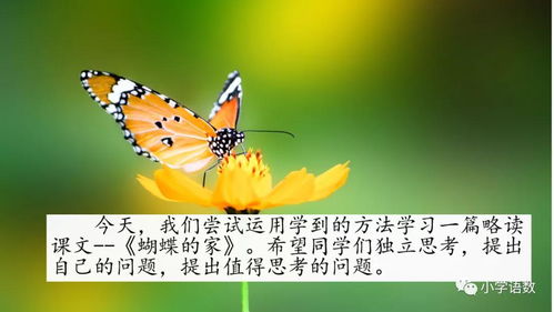 部编版四年级语文上册第8课 蝴蝶的家 图文讲解