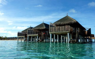 马尔代夫魔富士岛有泳池吗探索那里的奢华度假体验