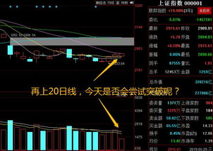 你好啊，你能帮我编个指标吗，谢谢啊，股价在20日线上方，回踩20日线，谢谢