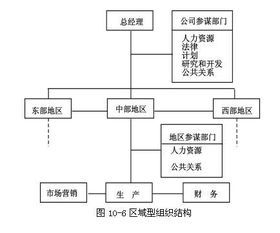 跨国公司组织结构演进规律