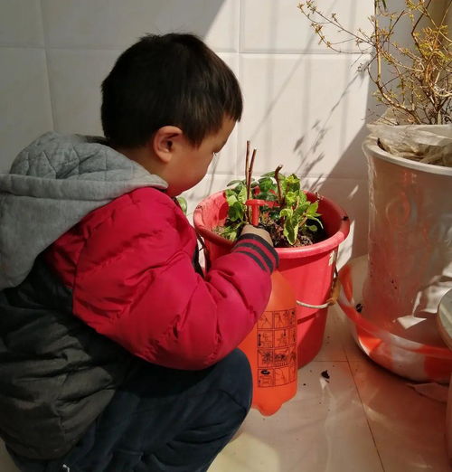 谷雨前后种植什么农作物