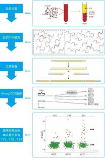 疾病调查方案模板(疾病调研报告范文)