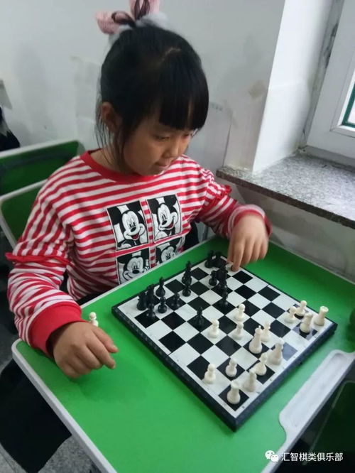 2017年吉林省国际象棋等级赛今日圆满收官