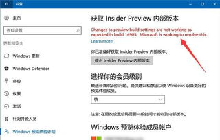 win10预览设置选beta渠道吗