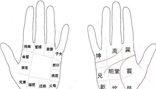 手相 哪些信息可以从手上看到