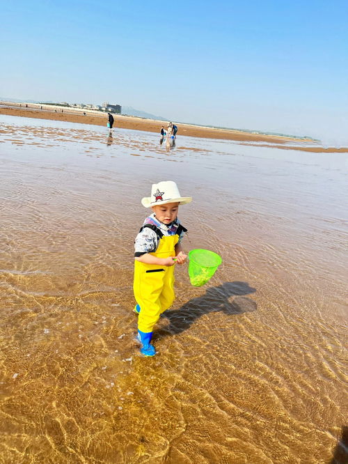 水上活动分享 日照赶海 