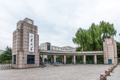 山东的大学有哪些大学