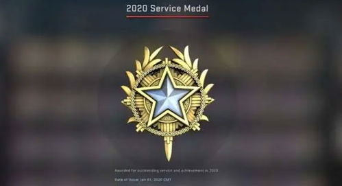 2020年服役勋章怎么获得