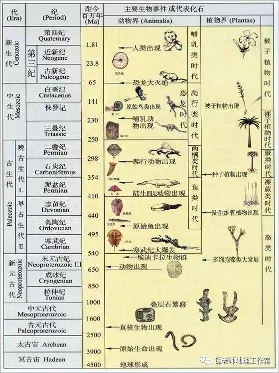 高考地理将考的地质年代表及相应动植物出现时代与进化程序表