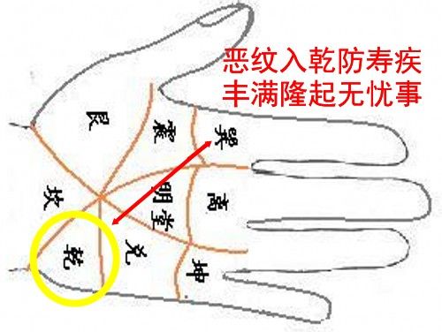 手相中乾宫的解释 