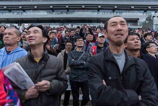 本人在上海,香港赛马可以在网上买吗 我只知道在广东可以买(香港唯一指定买马网站)