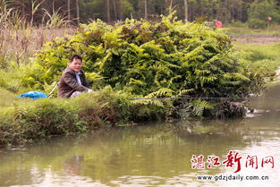 泛舟遂溪风朗河 春风沉醉 何似在人间